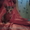 котят Донского свинкса - <ro>Изображение</ro><ru>Изображение</ru> #4, <ru>Объявление</ru> #541497