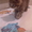 британцы 3 кошки - <ro>Изображение</ro><ru>Изображение</ru> #2, <ru>Объявление</ru> #585190