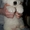 Очаровательные щенки самоедской лайки - <ro>Изображение</ro><ru>Изображение</ru> #4, <ru>Объявление</ru> #558595