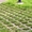  газонная решетка,европарковка - <ro>Изображение</ro><ru>Изображение</ru> #2, <ru>Объявление</ru> #636779