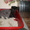 Очаровательные котята от вислоухой кошки пепельного цвета!!! - <ro>Изображение</ro><ru>Изображение</ru> #1, <ru>Объявление</ru> #627967