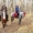 прогулки на лошадях,  конный туризм в Харькове