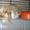 Продам кролика с клеткой и кормом на первое время - <ro>Изображение</ro><ru>Изображение</ru> #2, <ru>Объявление</ru> #652242