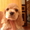 продам щенков американский кокер-спаниель - <ro>Изображение</ro><ru>Изображение</ru> #2, <ru>Объявление</ru> #678383