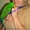 Элитные попугаи из питомника«Г.Р.А.Ф.». - <ro>Изображение</ro><ru>Изображение</ru> #3, <ru>Объявление</ru> #708802
