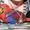 Элитные попугаи из питомника«Г.Р.А.Ф.». - <ro>Изображение</ro><ru>Изображение</ru> #2, <ru>Объявление</ru> #708802