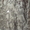 блуза из органзы с бисером - <ro>Изображение</ro><ru>Изображение</ru> #5, <ru>Объявление</ru> #731713