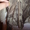 блуза из органзы с бисером - <ro>Изображение</ro><ru>Изображение</ru> #3, <ru>Объявление</ru> #731713