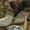 ПРОДАМ сапоги зимние 37 размера "Монарх" - <ro>Изображение</ro><ru>Изображение</ru> #3, <ru>Объявление</ru> #800700