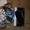 ПРОДАМ Б/У Игровая приставка SONY PSP-2008 slim  - <ro>Изображение</ro><ru>Изображение</ru> #4, <ru>Объявление</ru> #815682