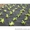 Агроволокно,  спанбонд,  защита от сорняков 50г/м2 3, 2м*100м в рулонах #822452
