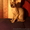 котята мальчики канадского сфинкса - <ro>Изображение</ro><ru>Изображение</ru> #1, <ru>Объявление</ru> #826540