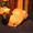 котята мальчики канадского сфинкса - <ro>Изображение</ro><ru>Изображение</ru> #2, <ru>Объявление</ru> #826540