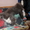 Шикарный длинношёрстный кот (приблудился) - <ro>Изображение</ro><ru>Изображение</ru> #3, <ru>Объявление</ru> #843466