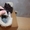 Зимние ботинки KAVAT (Швеция). Размер 20.  - <ro>Изображение</ro><ru>Изображение</ru> #3, <ru>Объявление</ru> #839584