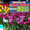 Экскурсия на Парад тюльпанов 2013 в Крым из Харькова+Вечерняя Ялта!!! - <ro>Изображение</ro><ru>Изображение</ru> #3, <ru>Объявление</ru> #838913