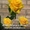 ШОК! Акция!!! Доставка цветов Букет из 101 розы всего 1399 грн - <ro>Изображение</ro><ru>Изображение</ru> #2, <ru>Объявление</ru> #880680