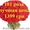 ШОК! Акция!!! Доставка цветов Букет из 101 розы всего 1399 грн #880680