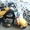 Продам детский аккумуляторный мотоцикл Geoby  #890498