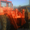 Трактор Т-150К-09 - <ro>Изображение</ro><ru>Изображение</ru> #5, <ru>Объявление</ru> #914020