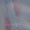 Тюль,шторы,пошив ламбрекенов,шторы нити - <ro>Изображение</ro><ru>Изображение</ru> #4, <ru>Объявление</ru> #945383