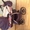 Детскую коляску трансформер. - <ro>Изображение</ro><ru>Изображение</ru> #1, <ru>Объявление</ru> #502057