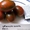 Продам семена томатов (помидор) от 03.12.14 - <ro>Изображение</ro><ru>Изображение</ru> #3, <ru>Объявление</ru> #817873
