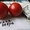Продам семена томатов (помидор) от 03.12.14 - <ro>Изображение</ro><ru>Изображение</ru> #2, <ru>Объявление</ru> #817873