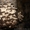 вешанка-мицелий.грибные блоки. свежие грибы - <ro>Изображение</ro><ru>Изображение</ru> #3, <ru>Объявление</ru> #166445