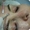 Чистка лица Косметолог Холодная гора - <ro>Изображение</ro><ru>Изображение</ru> #2, <ru>Объявление</ru> #976170