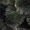 Искуственные елки и сосны  - <ro>Изображение</ro><ru>Изображение</ru> #4, <ru>Объявление</ru> #1012461
