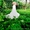 Свадебное шикарное платье33 - <ro>Изображение</ro><ru>Изображение</ru> #3, <ru>Объявление</ru> #1010942