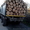 Продам дрова дубовые #1005118