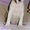 Первокласные щенки Американского Стаффордширского терьера, питомник #1033078