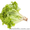 продам листья салата, рассаду салата - <ro>Изображение</ro><ru>Изображение</ru> #2, <ru>Объявление</ru> #1034038