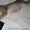 Продам котенка девочка чаузи - <ro>Изображение</ro><ru>Изображение</ru> #2, <ru>Объявление</ru> #1065429