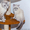 Продам шотландского котенка скотиш страйт - <ro>Изображение</ro><ru>Изображение</ru> #3, <ru>Объявление</ru> #1078663