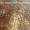 Современные декоративные покрытия в Харькове — салон Artis! - <ro>Изображение</ro><ru>Изображение</ru> #1, <ru>Объявление</ru> #1178307