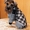 Одежда для всех пород собак Индивидуальный пошив #1186705