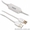 ProLink USB data Tnansfer cable (for Windows & MAC) #1200505