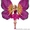 Кукла Барби Марипоса с крыльями #1201945