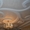 Декоративные покрытия (штукатурки) в Харькове — салон Artis! - <ro>Изображение</ro><ru>Изображение</ru> #5, <ru>Объявление</ru> #1235489