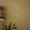 Декоративные покрытия (штукатурки) в Харькове — салон Artis! - <ro>Изображение</ro><ru>Изображение</ru> #2, <ru>Объявление</ru> #1235489