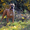 Рыжие щенки кане корсо от мультичемпиона - <ro>Изображение</ro><ru>Изображение</ru> #3, <ru>Объявление</ru> #1321078