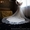 Счастливое свадебное платье! "Невенчанное", "нерегистрированное"!!! - <ro>Изображение</ro><ru>Изображение</ru> #6, <ru>Объявление</ru> #1333678