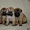 Очаровательные щенки шарпея - <ro>Изображение</ro><ru>Изображение</ru> #3, <ru>Объявление</ru> #1346966