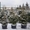Живая новогодняя ёлка в горшке 2.1метра Abies - <ro>Изображение</ro><ru>Изображение</ru> #1, <ru>Объявление</ru> #1348299