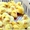 Суточные цыплята мясо-яичной породы Геркулес - <ro>Изображение</ro><ru>Изображение</ru> #1, <ru>Объявление</ru> #1359900