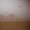Натяжной потолок с фотопечатью - <ro>Изображение</ro><ru>Изображение</ru> #8, <ru>Объявление</ru> #1362580