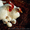Суточные цыплята мясо-яичной породы Геркулес - <ro>Изображение</ro><ru>Изображение</ru> #2, <ru>Объявление</ru> #1359900